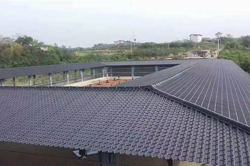 Casos de Projeto
